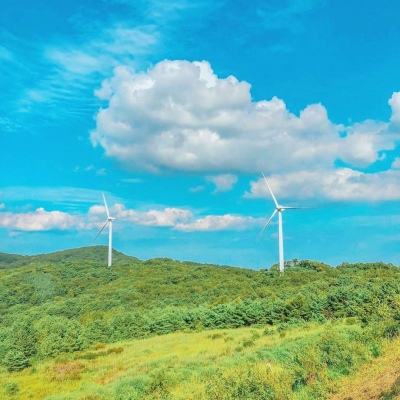 战国之刃满v变态版下载